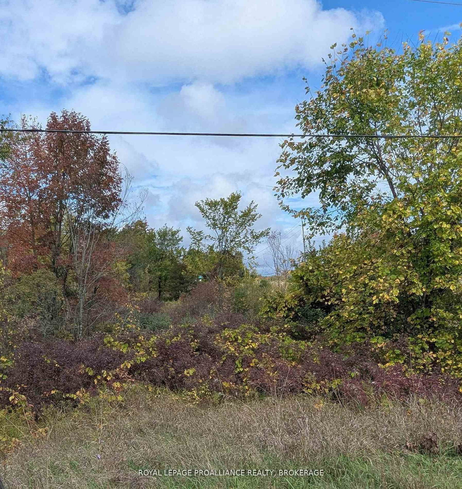 Lot 34 Leo Lake Road • Seeley's Bay, ON photo 4