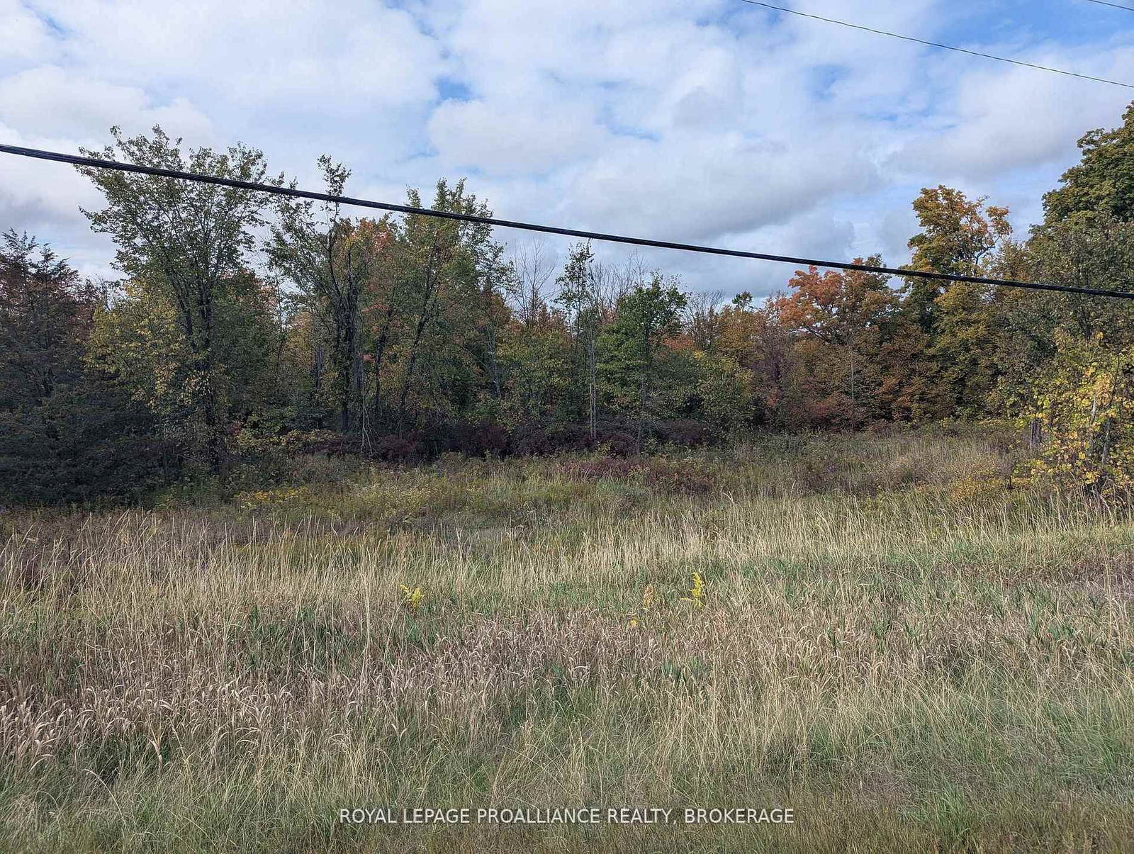 Lot 34 Leo Lake Road • Seeley's Bay, ON photo 7