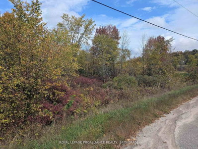 Lot 34 Leo Lake Road • Seeley's Bay, ON photo 8