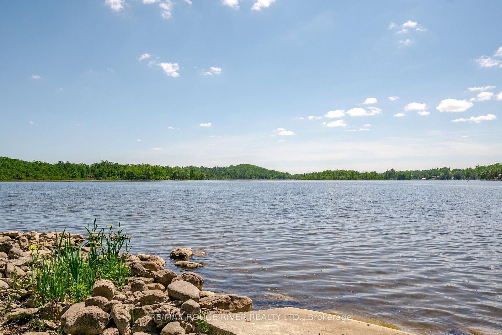 8 Huycke's Island • Trent Hills, ON photo 27