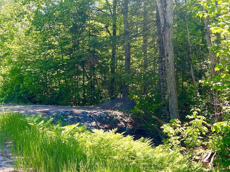 00 Buckshot Lake Road