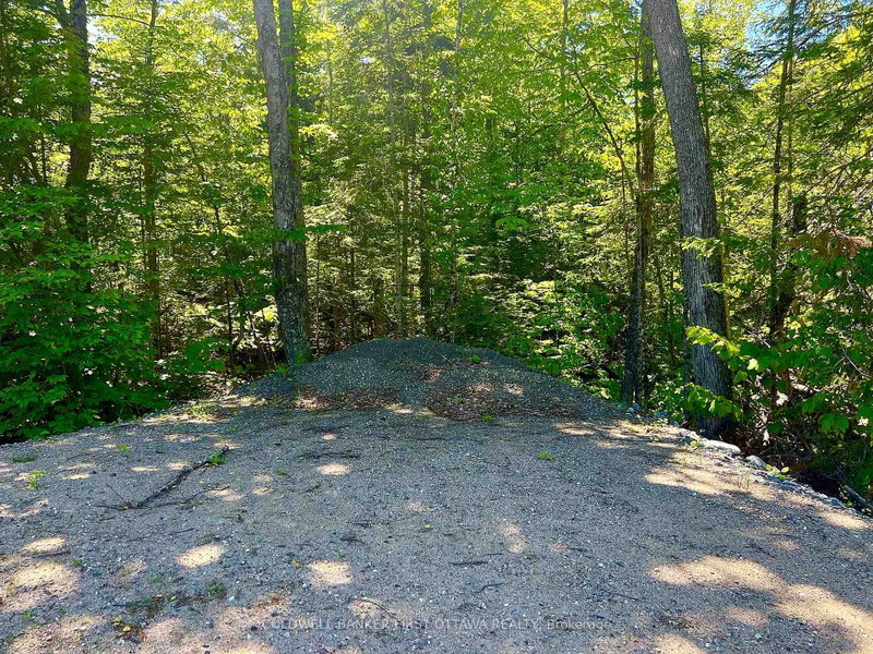 00 Buckshot Lake Road