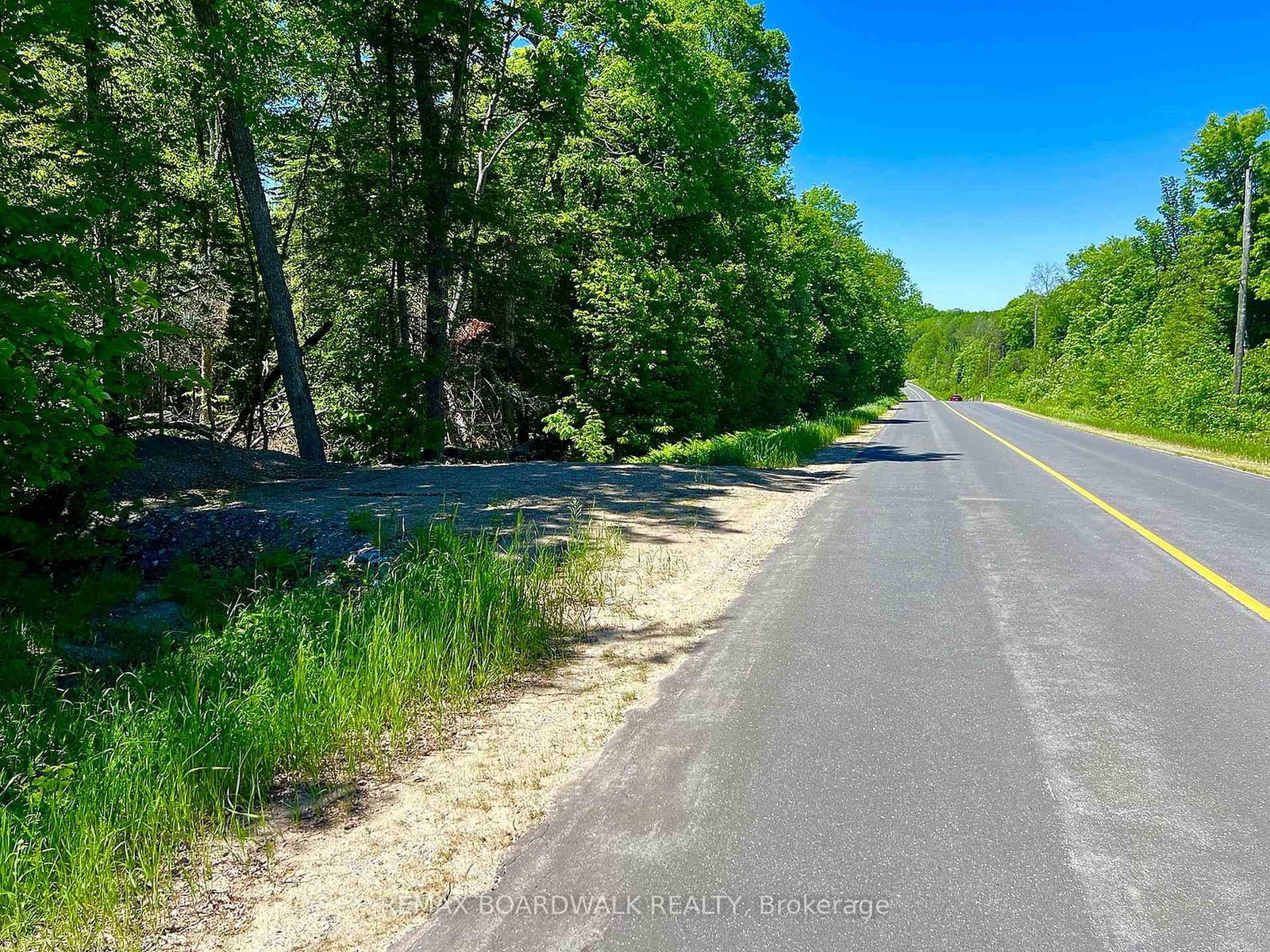 00 Buckshot Lake Road • Cloyne, ON photo 4