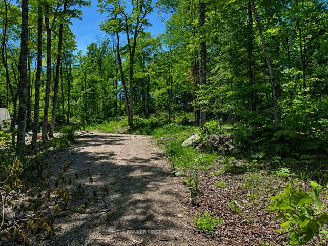 0 Buckshot Lake Road