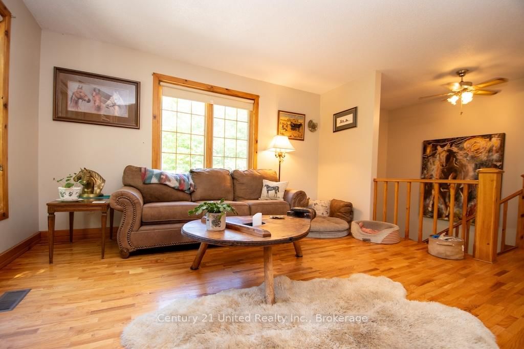 2003 Hybla Road • Bancroft, ON photo 8