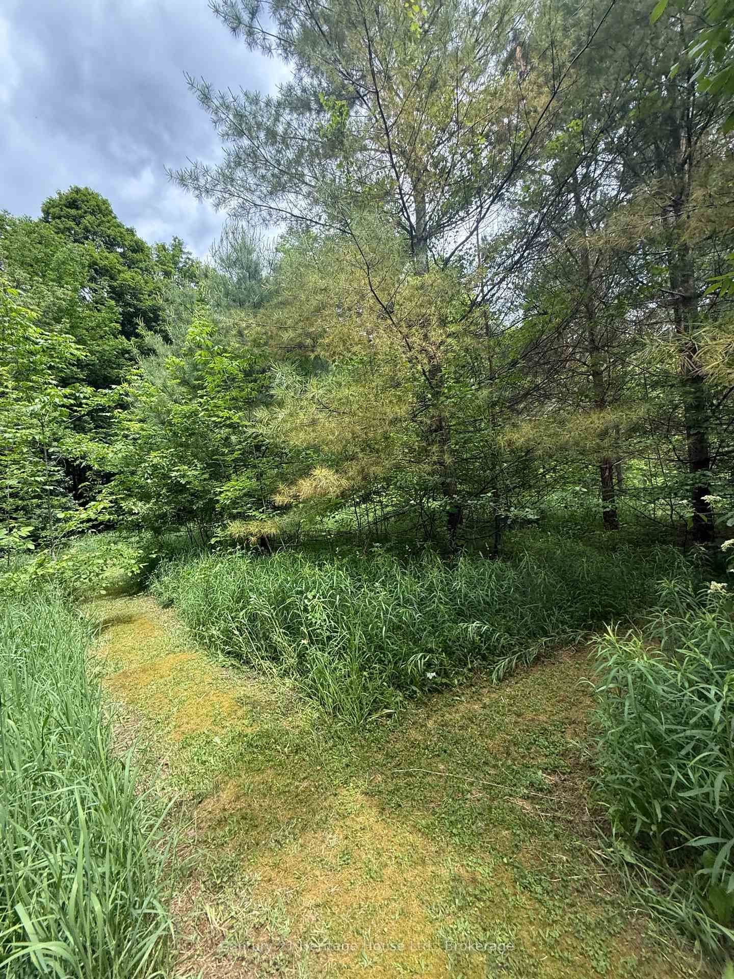 395551 2 Concession • Chatsworth, ON photo 20