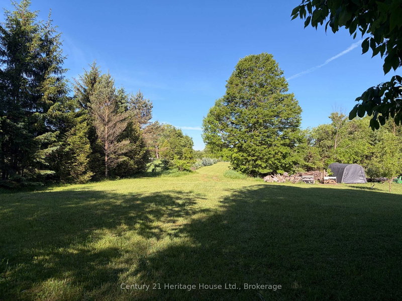395551 2 Concession photo 4