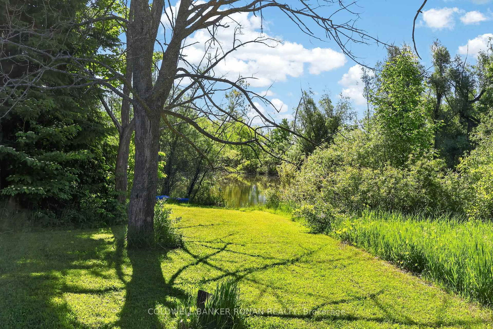 3 Laela Crescent • Mulmur, ON photo 39