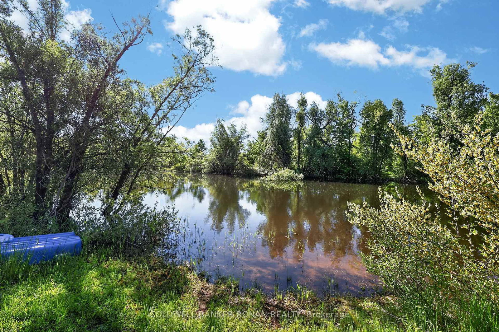 3 Laela Crescent • Mulmur, ON photo 40