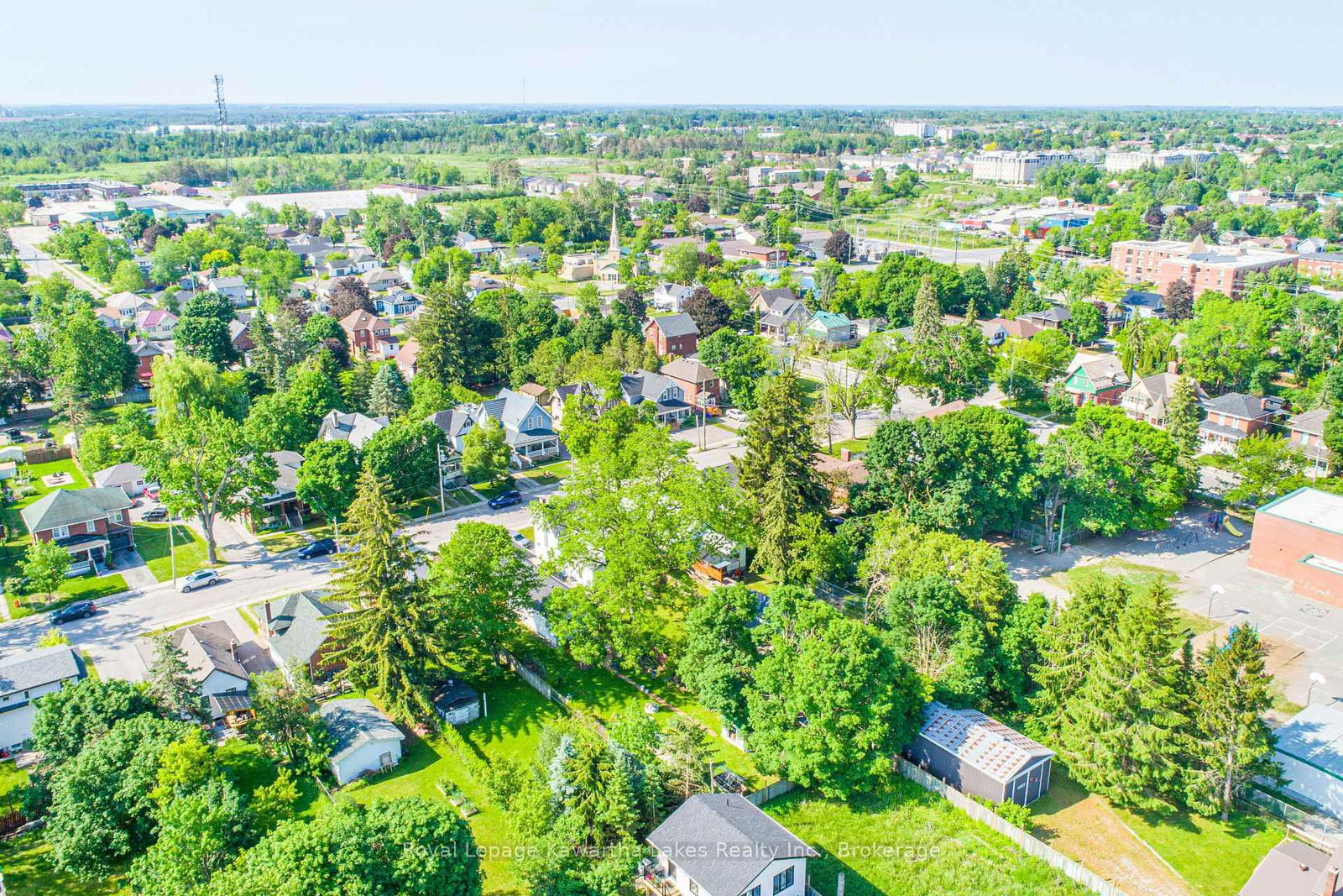 36 Melbourne Street W • Kawartha Lakes, ON photo 7