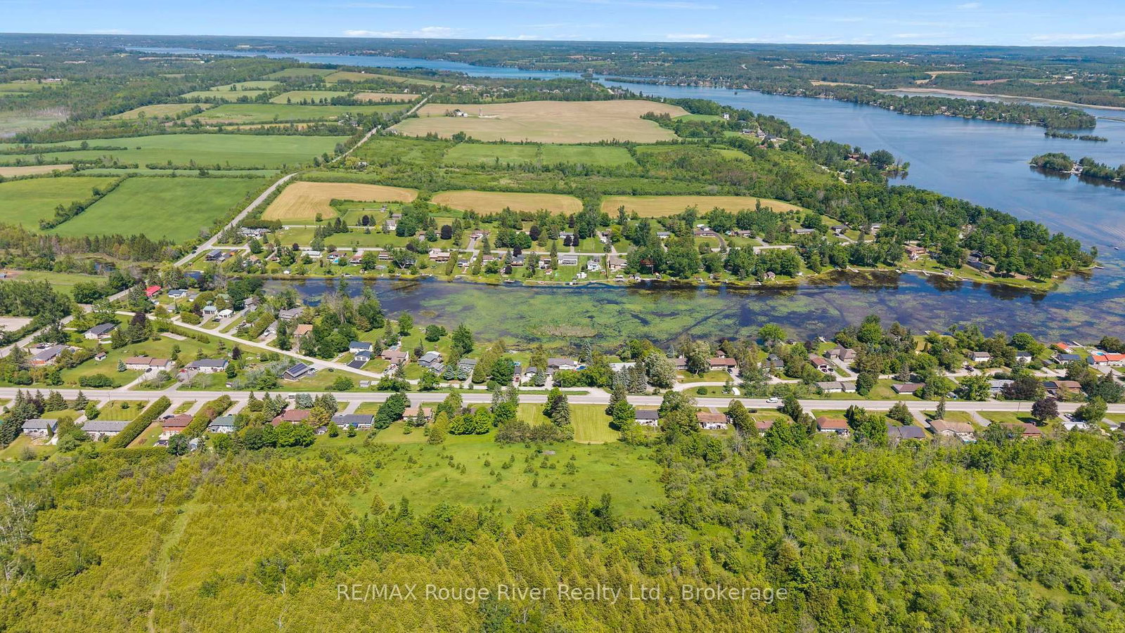 0 Frank Hill Road • Kawartha Lakes, ON photo 14