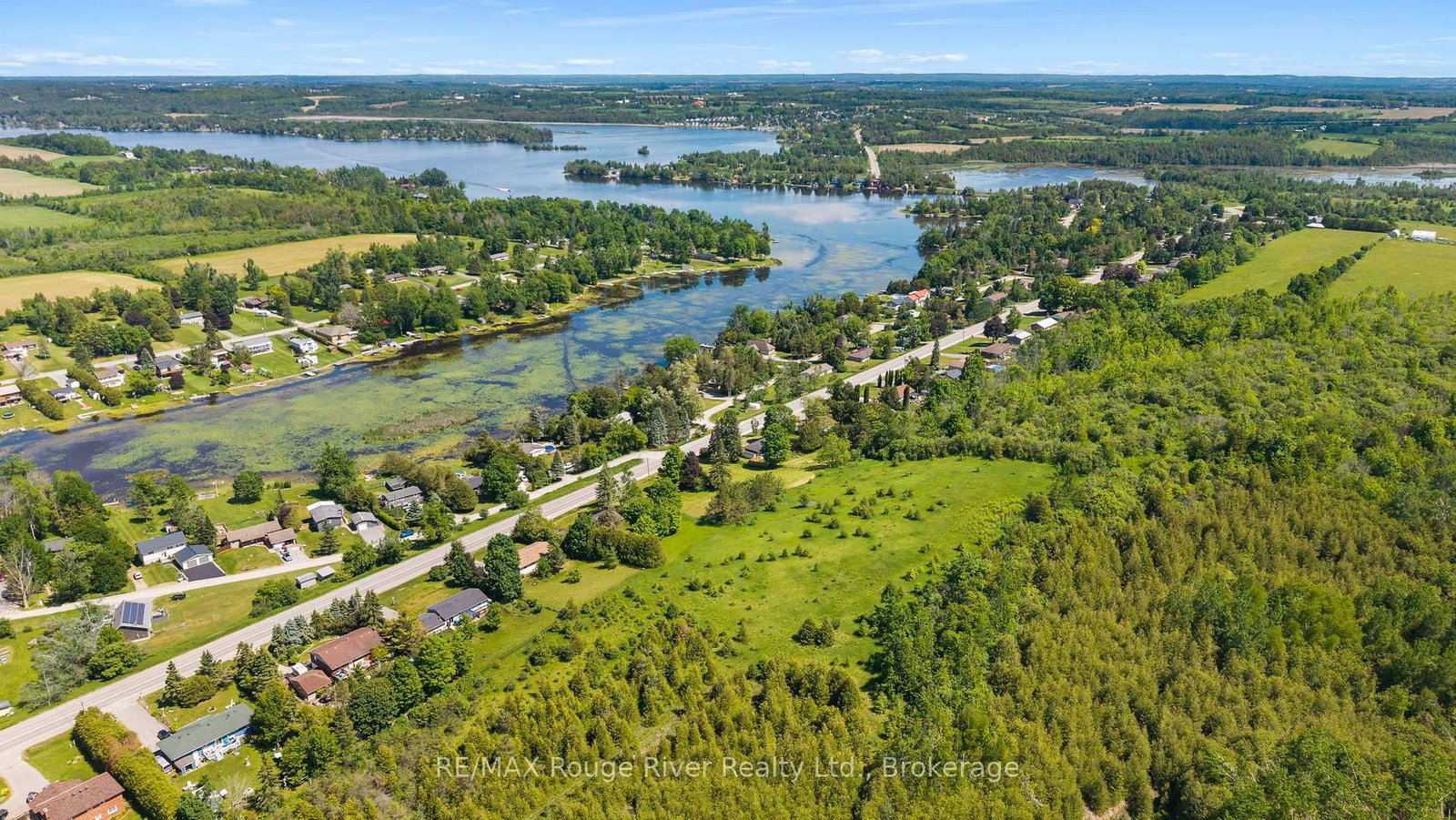 00 FRANK HILL Road • Kawartha Lakes, ON photo 13