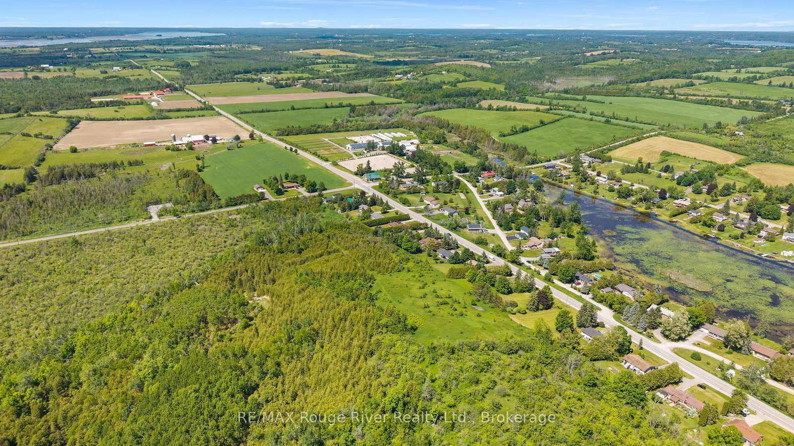 00 FRANK HILL Road • Kawartha Lakes, ON photo 15
