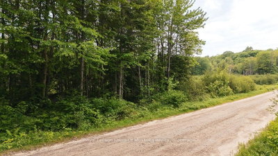 254 Expressway Road • Perry, ON photo 5