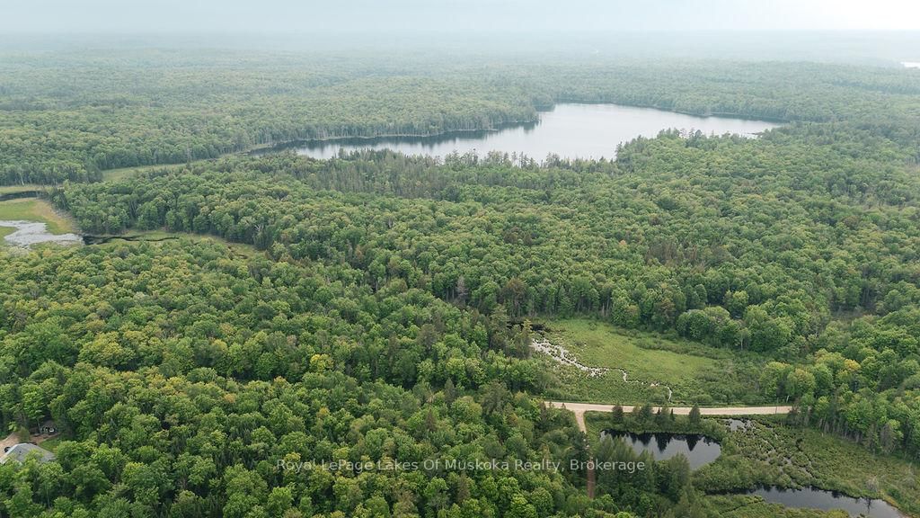 254 Expressway Road • Perry, ON photo 9