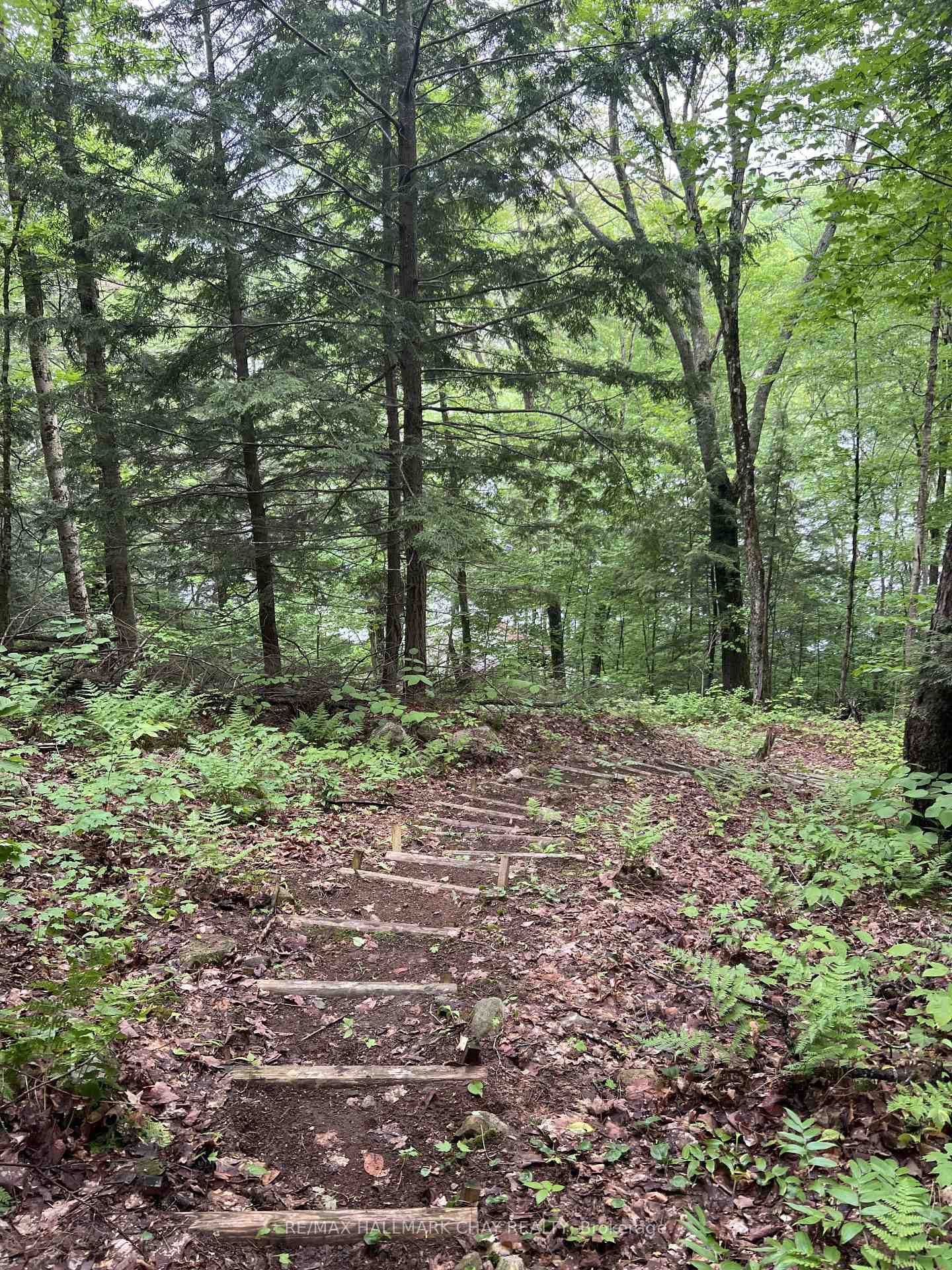 0 Hazard Hill Road • Kearney, ON photo 46