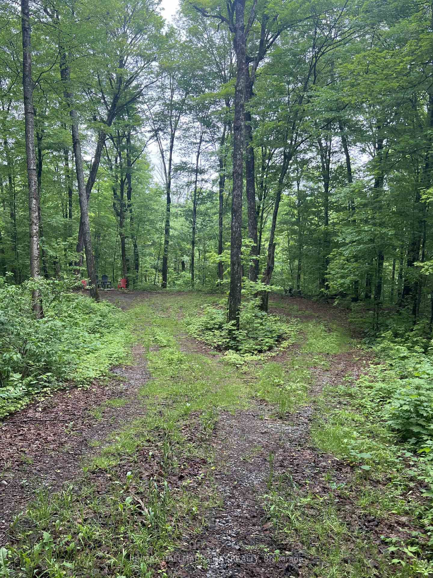 0 Hazard Hill Road • Kearney, ON photo 47