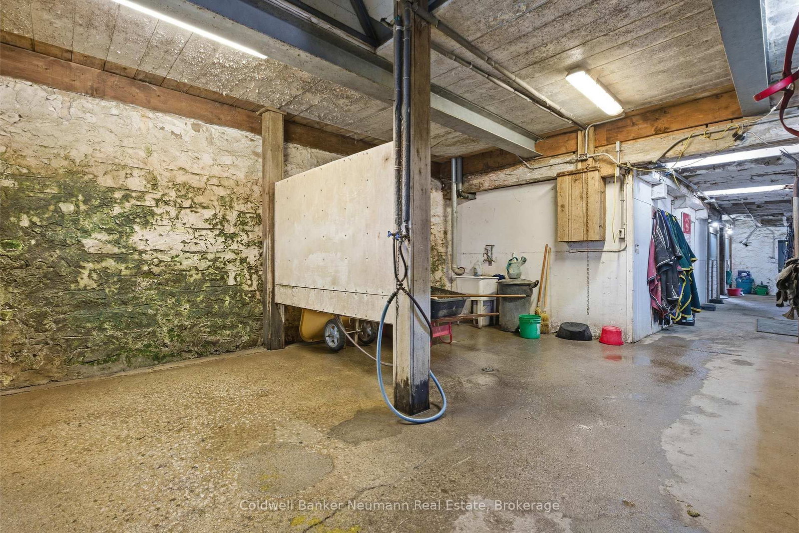 5116 Third Line • Guelph/Eramosa, ON photo 36