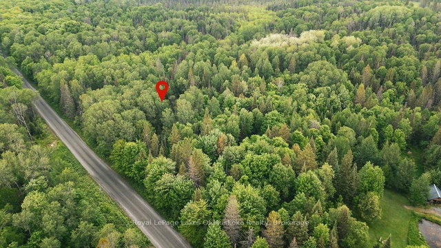 0 Ely Side Road