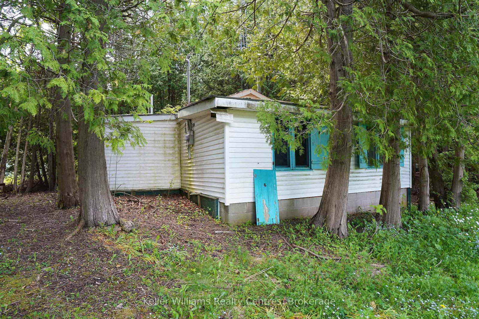 12 Isabella Street — photo 4