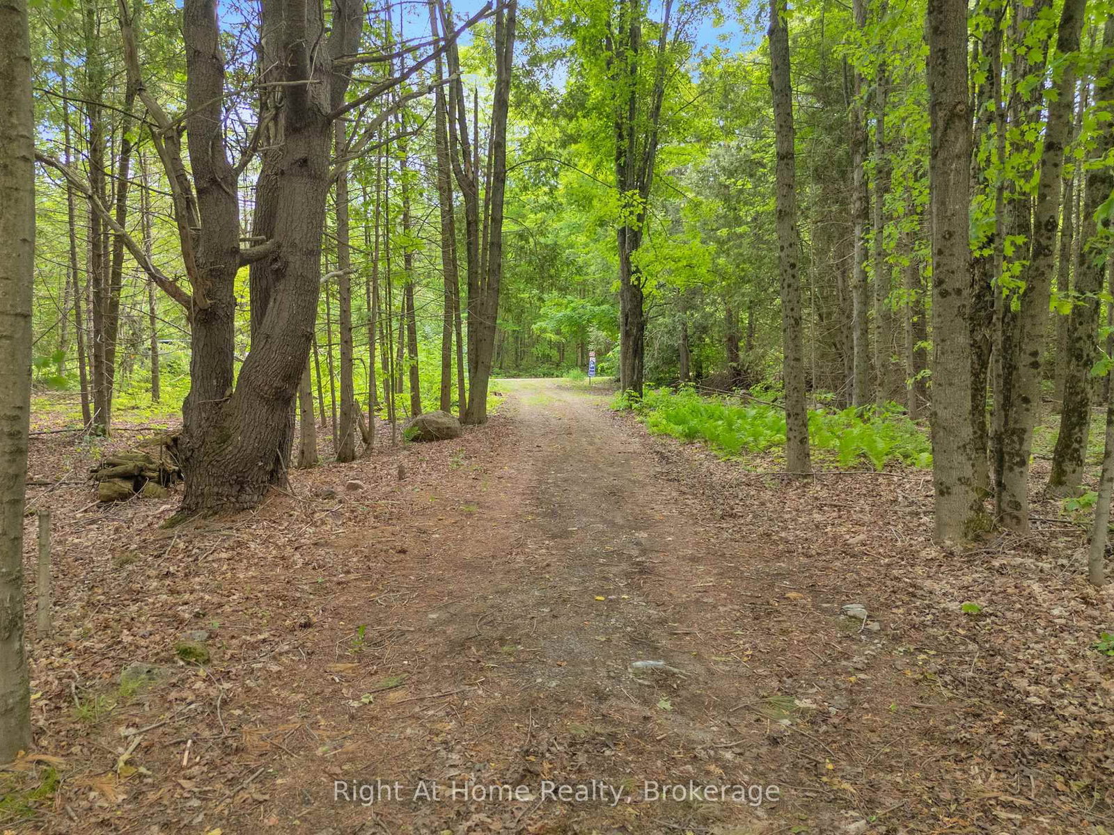 74 Talbot Road • Kawartha Lakes, ON photo 2