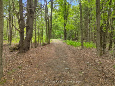74 Talbot Road • Kawartha Lakes, ON photo 2