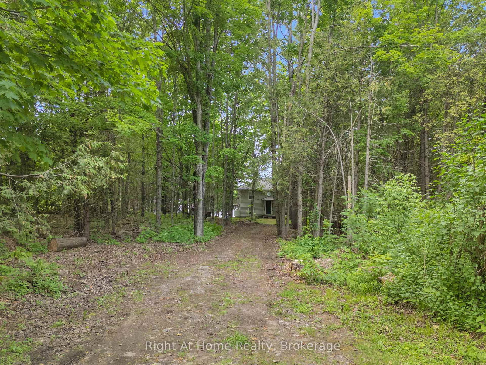 74 Talbot Road • Kawartha Lakes, ON photo 3