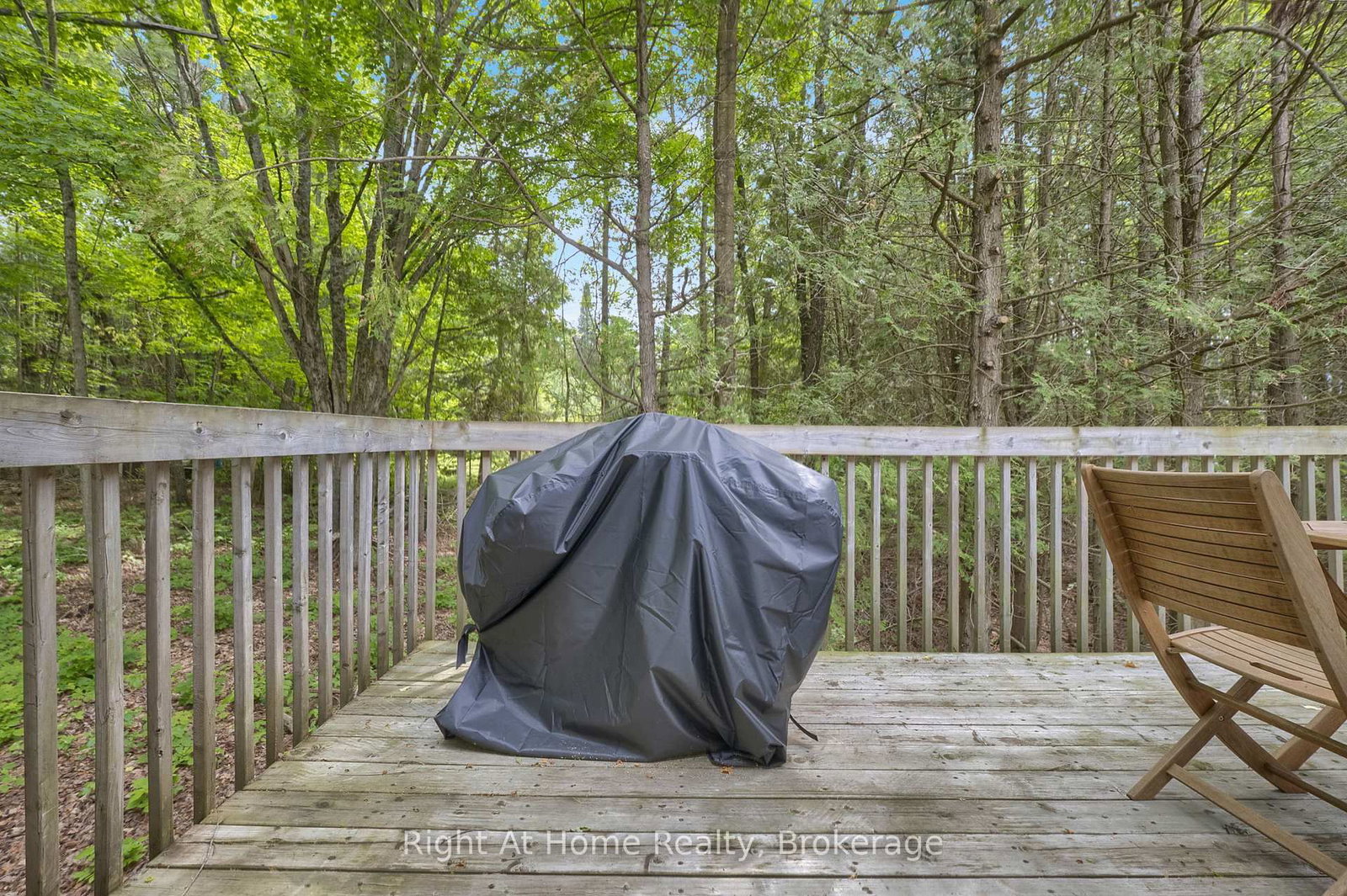 74 Talbot Road • Kawartha Lakes, ON photo 40