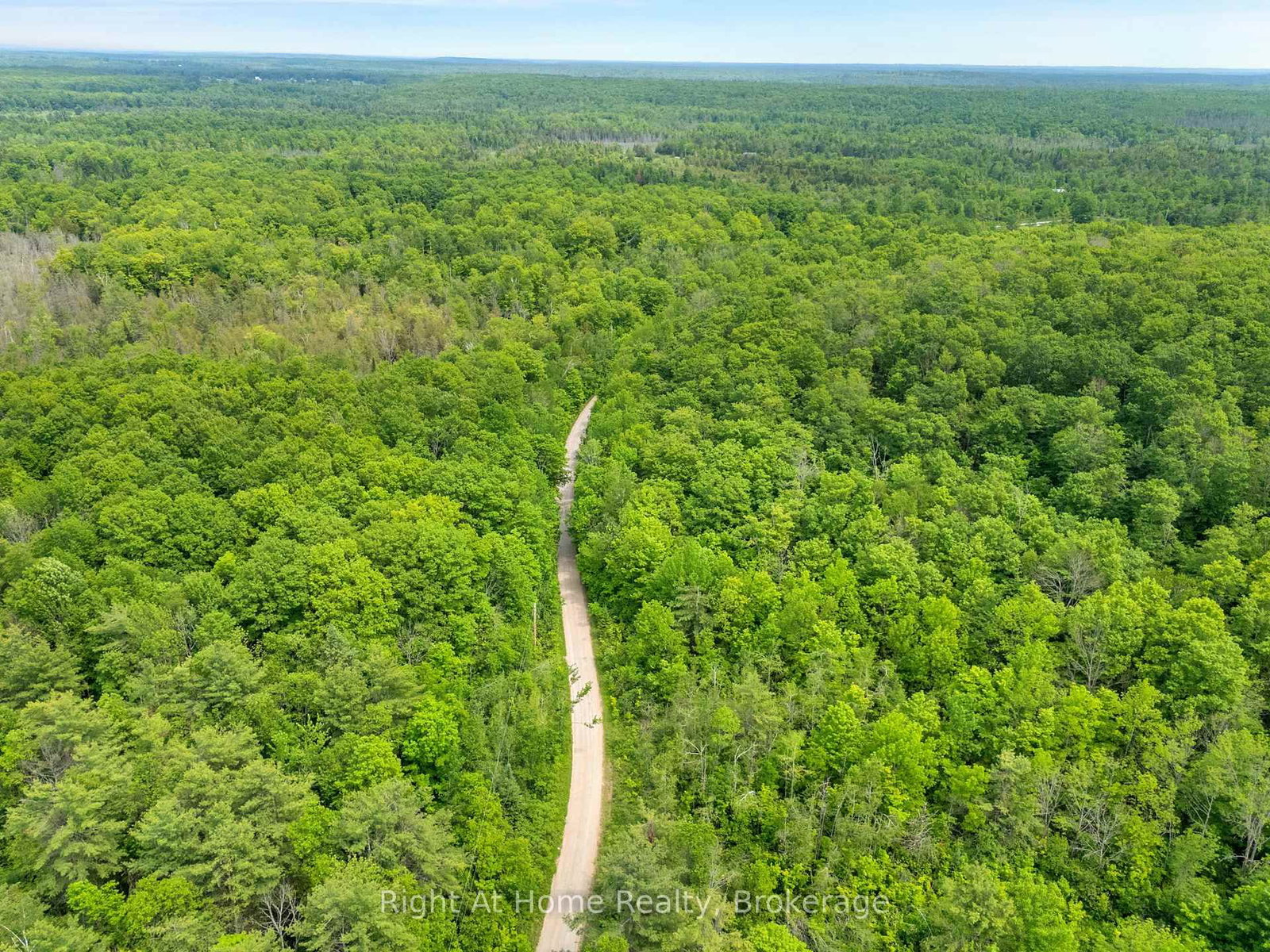 74 Talbot Road • Kawartha Lakes, ON photo 5