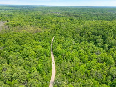 74 Talbot Road • Kawartha Lakes, ON photo 5