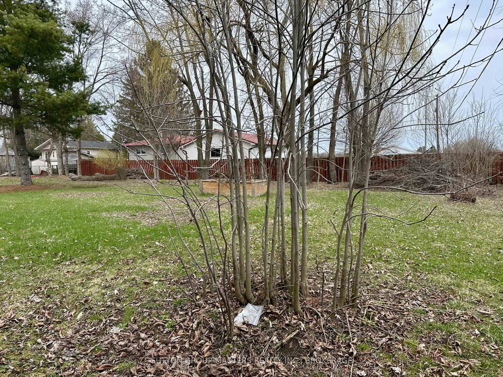 1666 Victoria Street • Kingston, ON photo 8