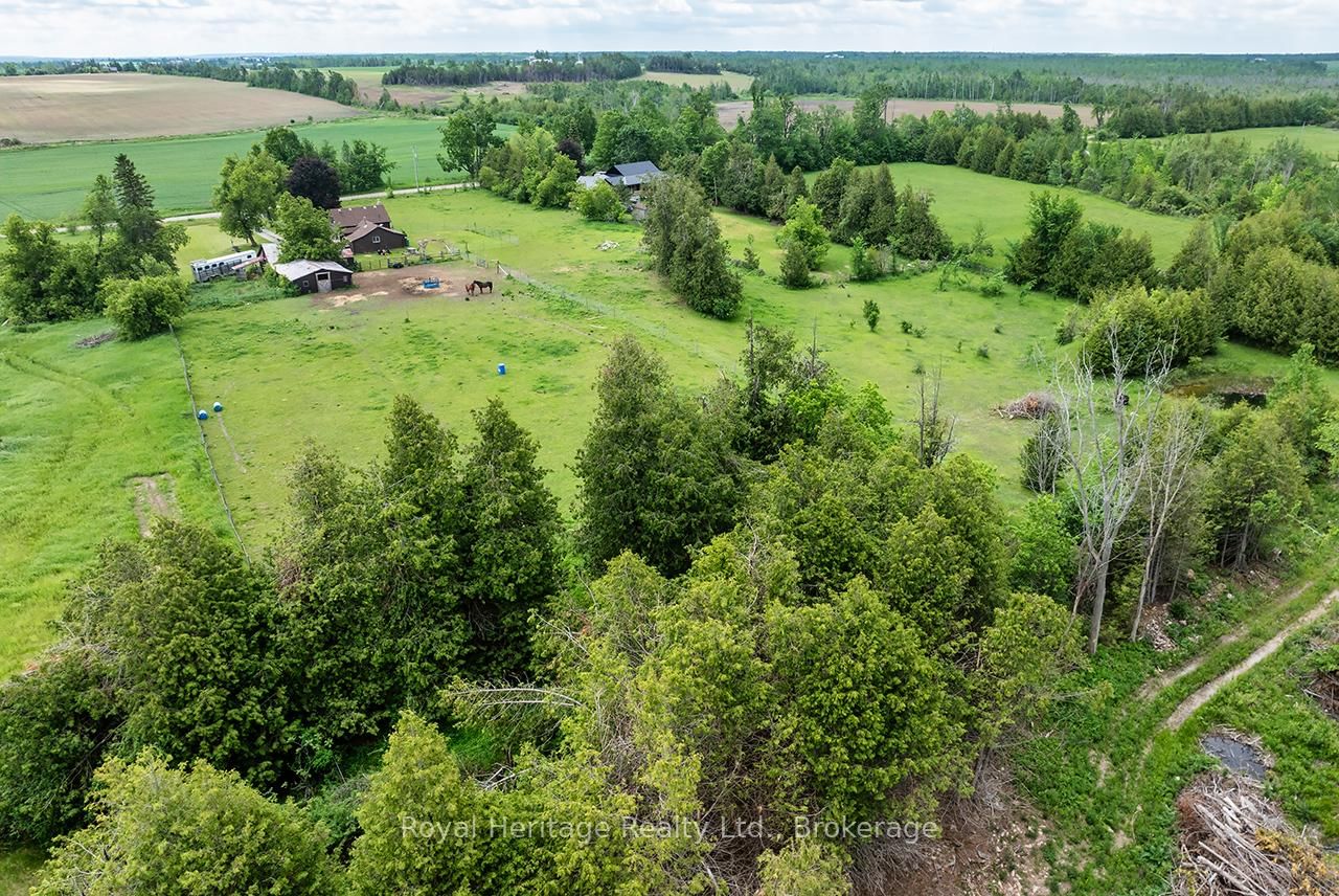 303 Four Points Road • Kawartha Lakes, ON photo 22