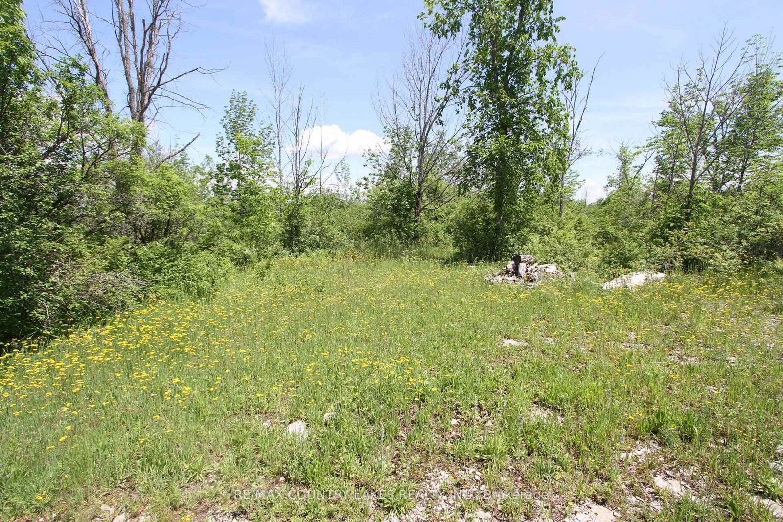 Lt27 Ramblewood Trail • Kawartha Lakes, ON photo 12