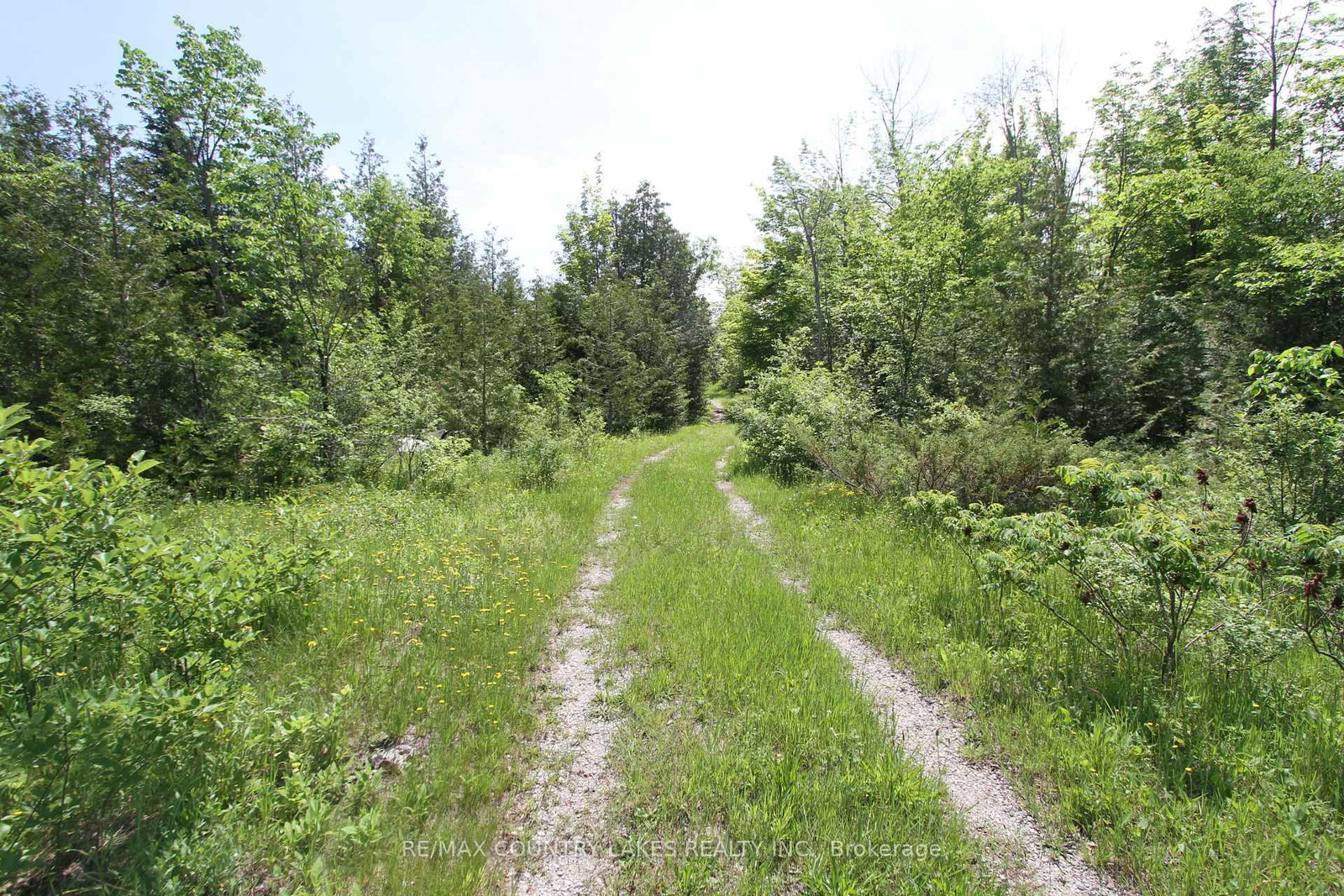 Lt27 Ramblewood Trail • Kawartha Lakes, ON photo 3