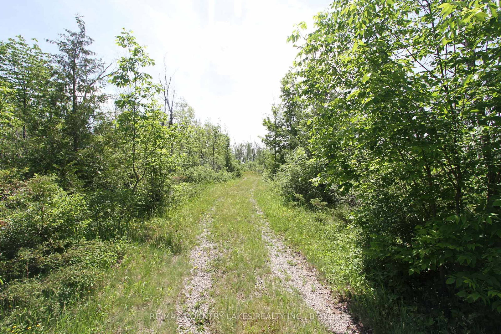 Lt27 Ramblewood Trail • Kawartha Lakes, ON photo 6