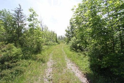Lt27 Ramblewood Trail • Kawartha Lakes, ON photo 6