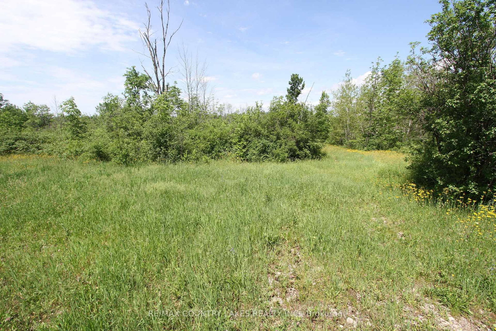 Lt27 Ramblewood Trail • Kawartha Lakes, ON photo 9
