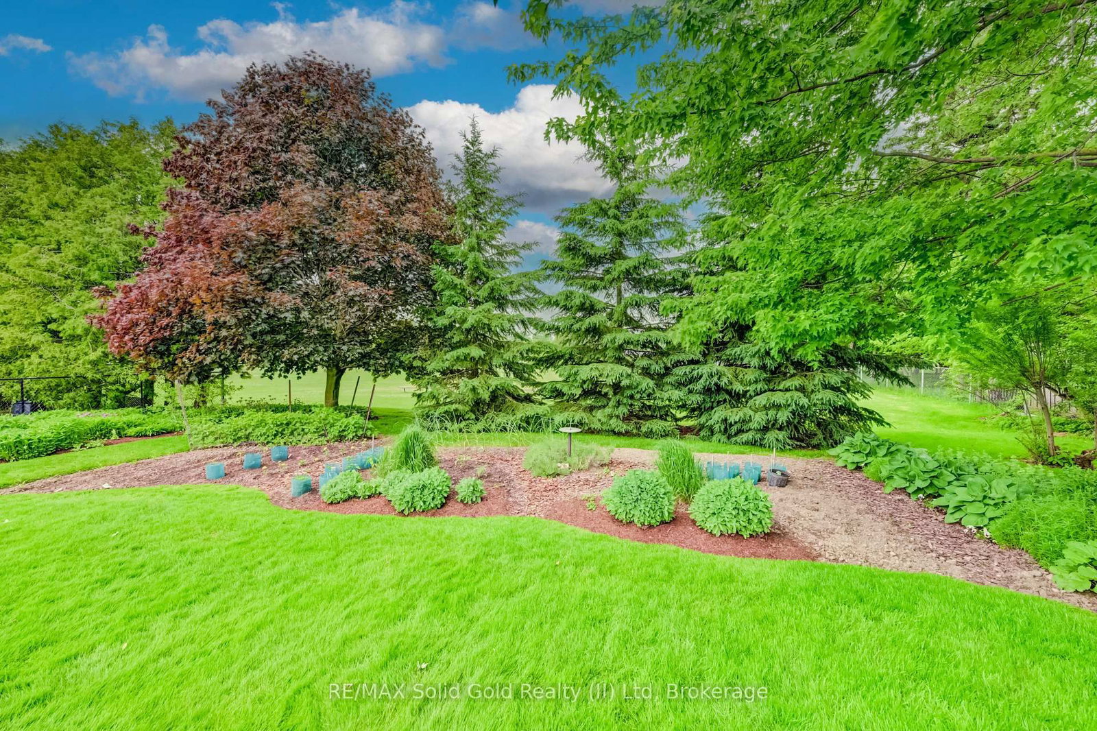 11 Lorraine Drive • Wellesley, ON photo 42