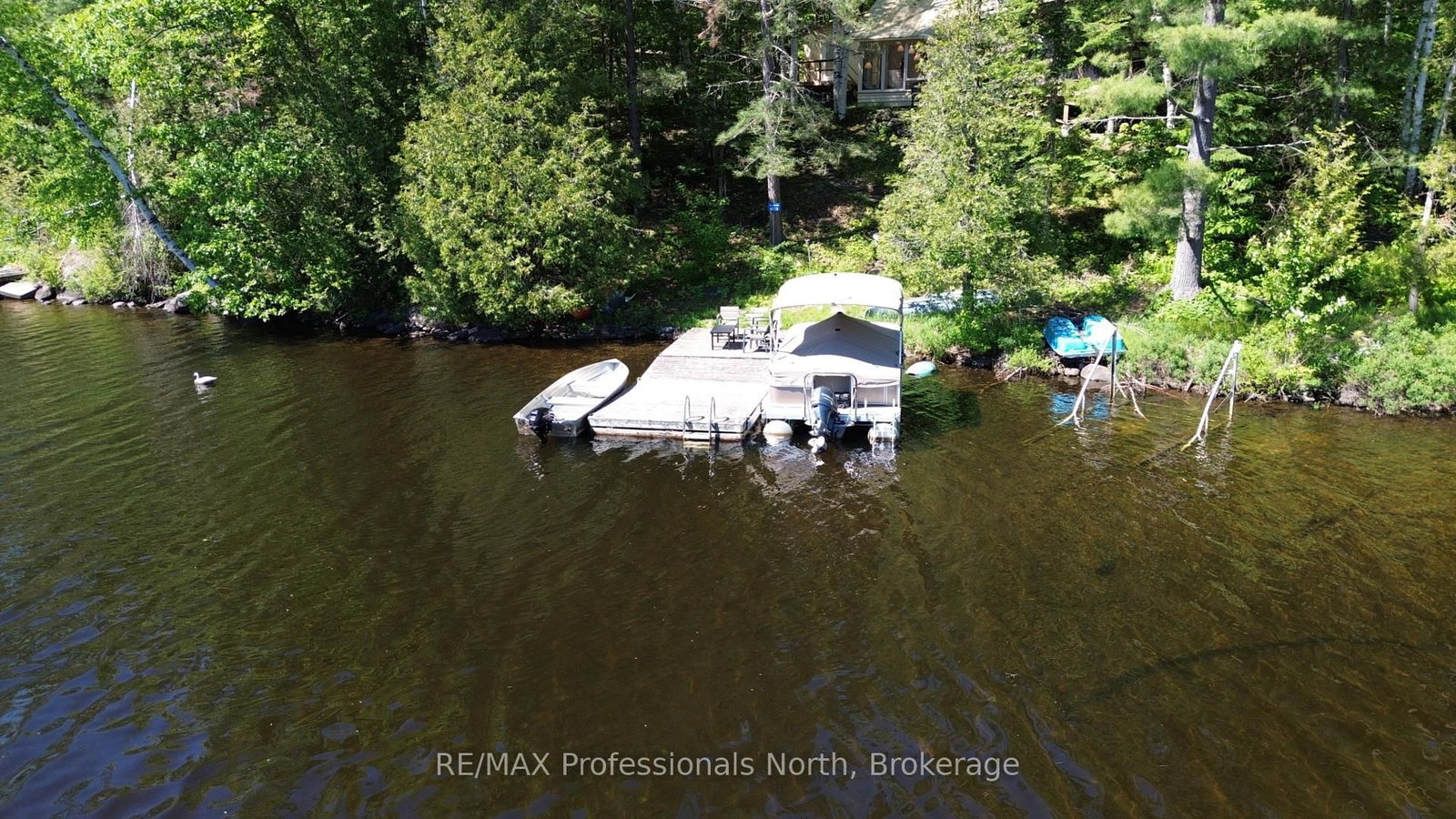 10729 Black Lake WAO • Minden Hills, ON photo 10