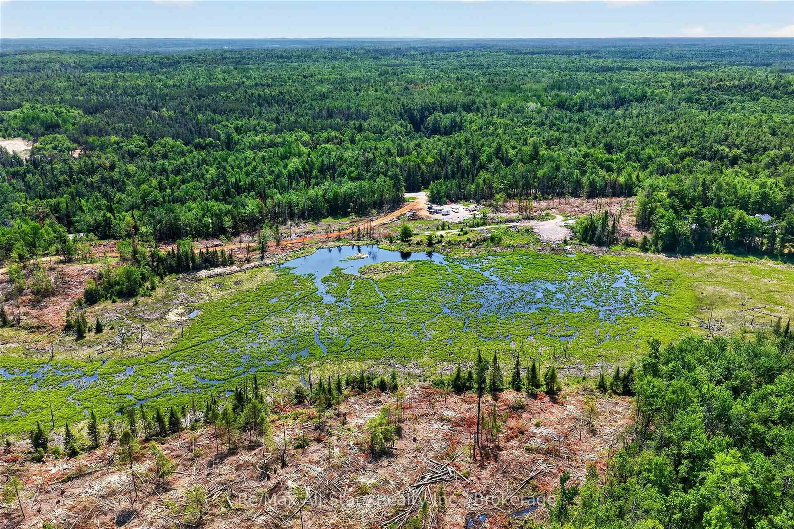 0000 MONCK Road • Kawartha Lakes, ON photo 15