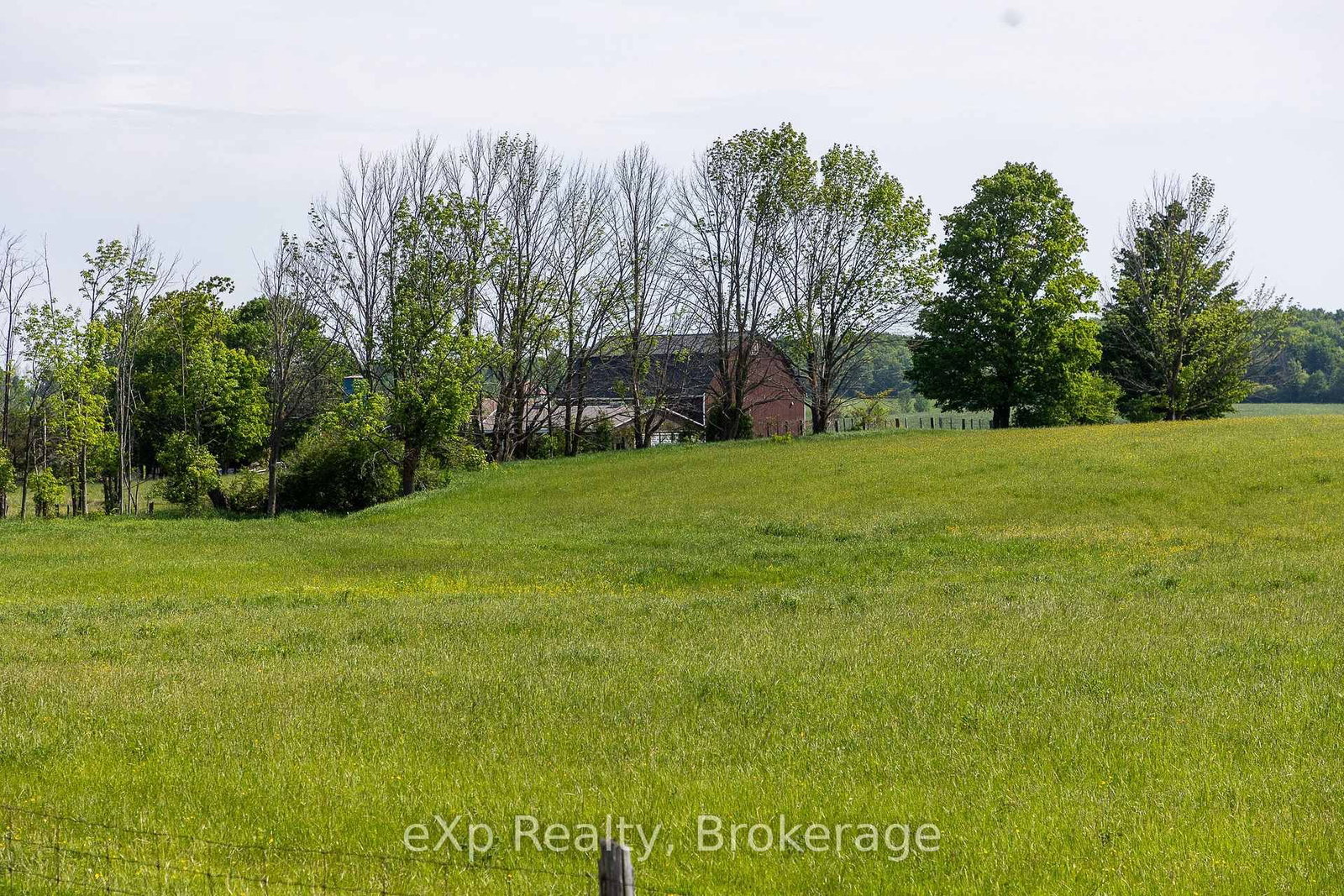 PART 1 Part Sou Grey Road 12 • Meaford, ON photo 10