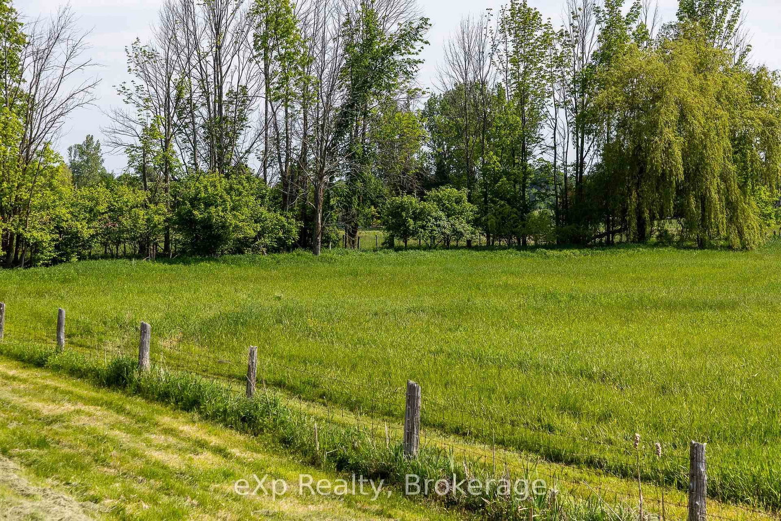 PART 1 Part Sou Grey Road 12 • Meaford, ON photo 12