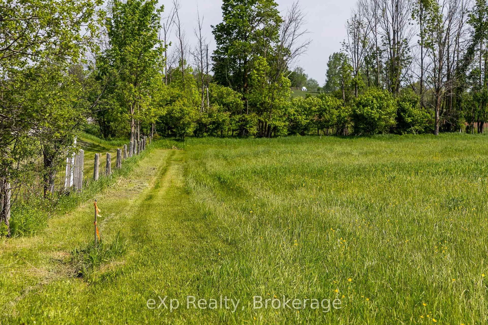 PART 1 Part Sou Grey Road 12 • Meaford, ON photo 13