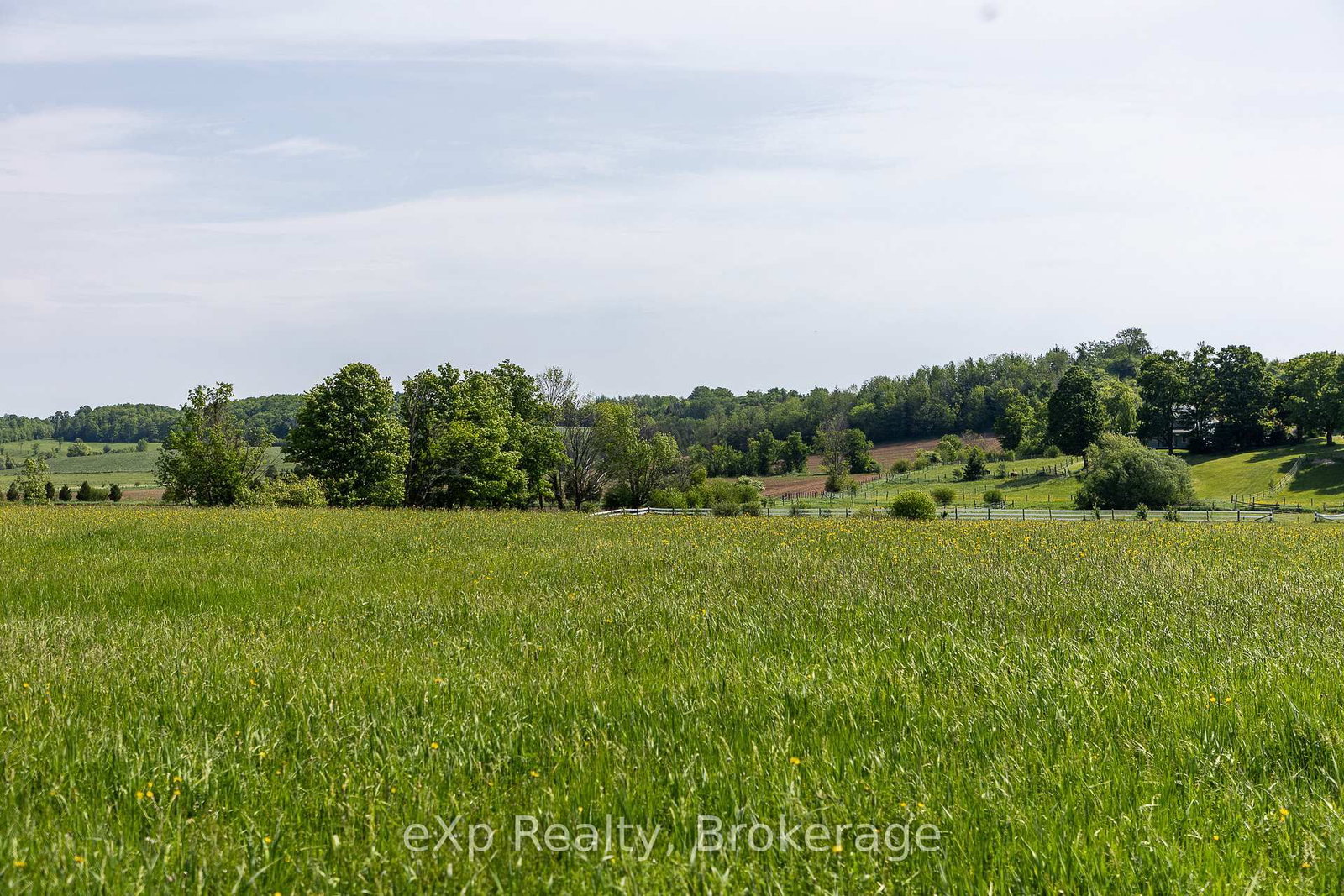 PART 1 Part Sou Grey Road 12 • Meaford, ON photo 16