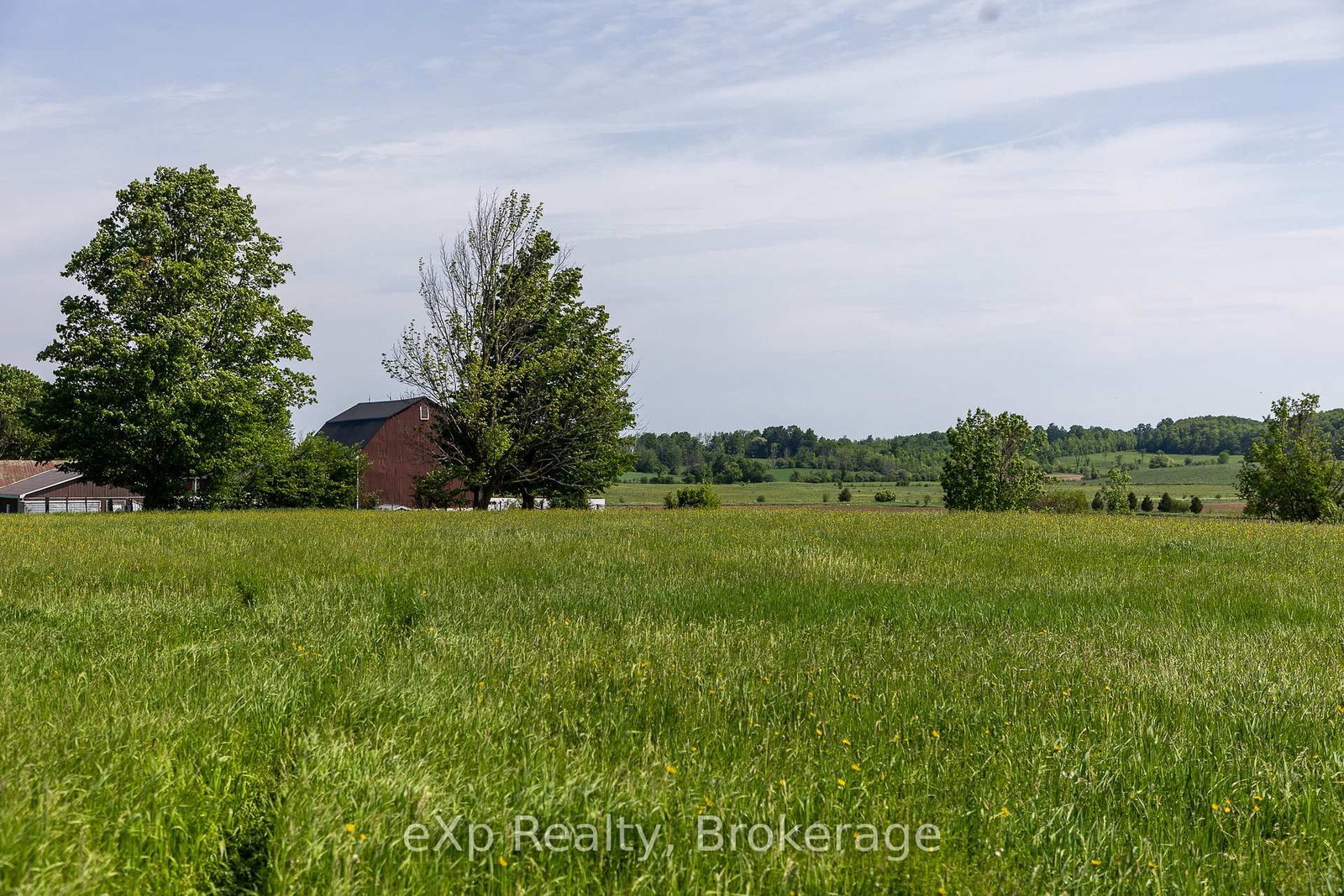 PART 1 Part Sou Grey Road 12 • Meaford, ON photo 19