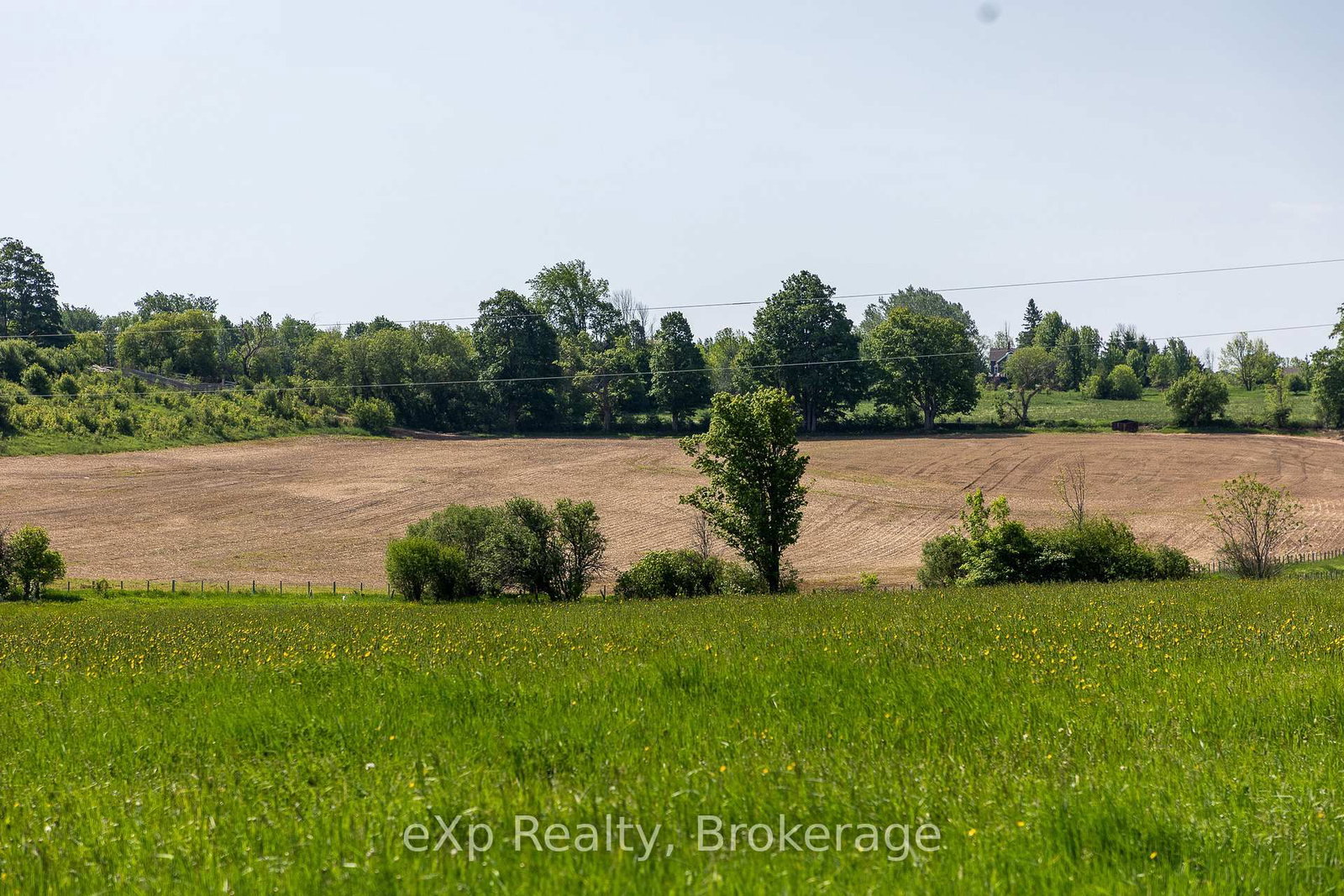 PART 1 Part Sou Grey Road 12 • Meaford, ON photo 20