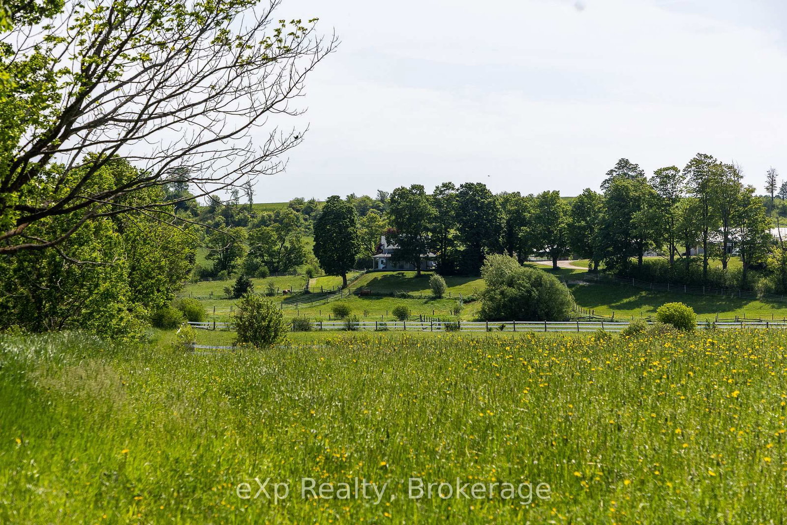 PART 1 Part Sou Grey Road 12 • Meaford, ON photo 22