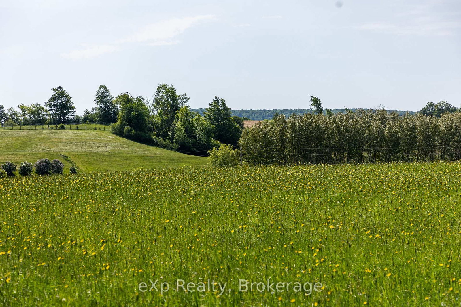 PART 1 Part Sou Grey Road 12 • Meaford, ON photo 23