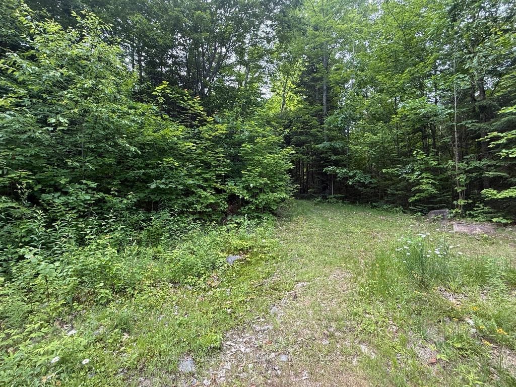 1118 Stoney Road • Ryerson, ON photo 11