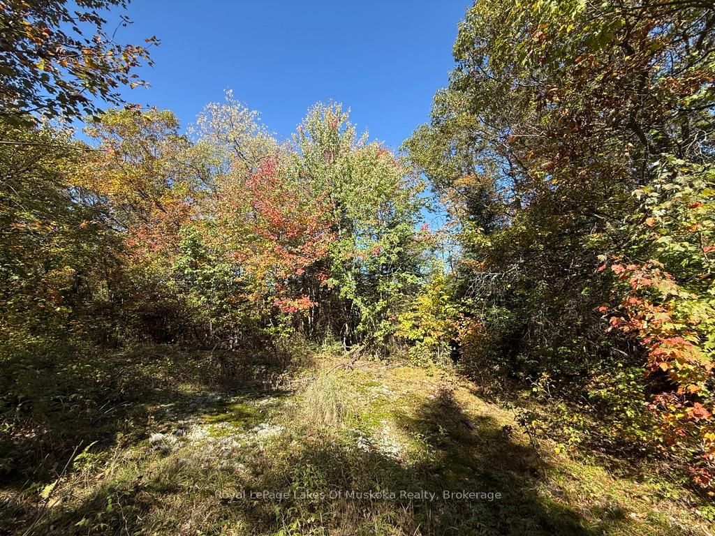 1118 Stoney Road • Ryerson, ON photo 16